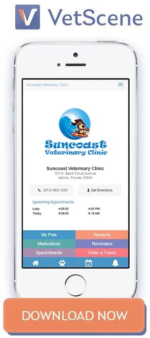 Suncoast Veterinary Clinic in Valrico